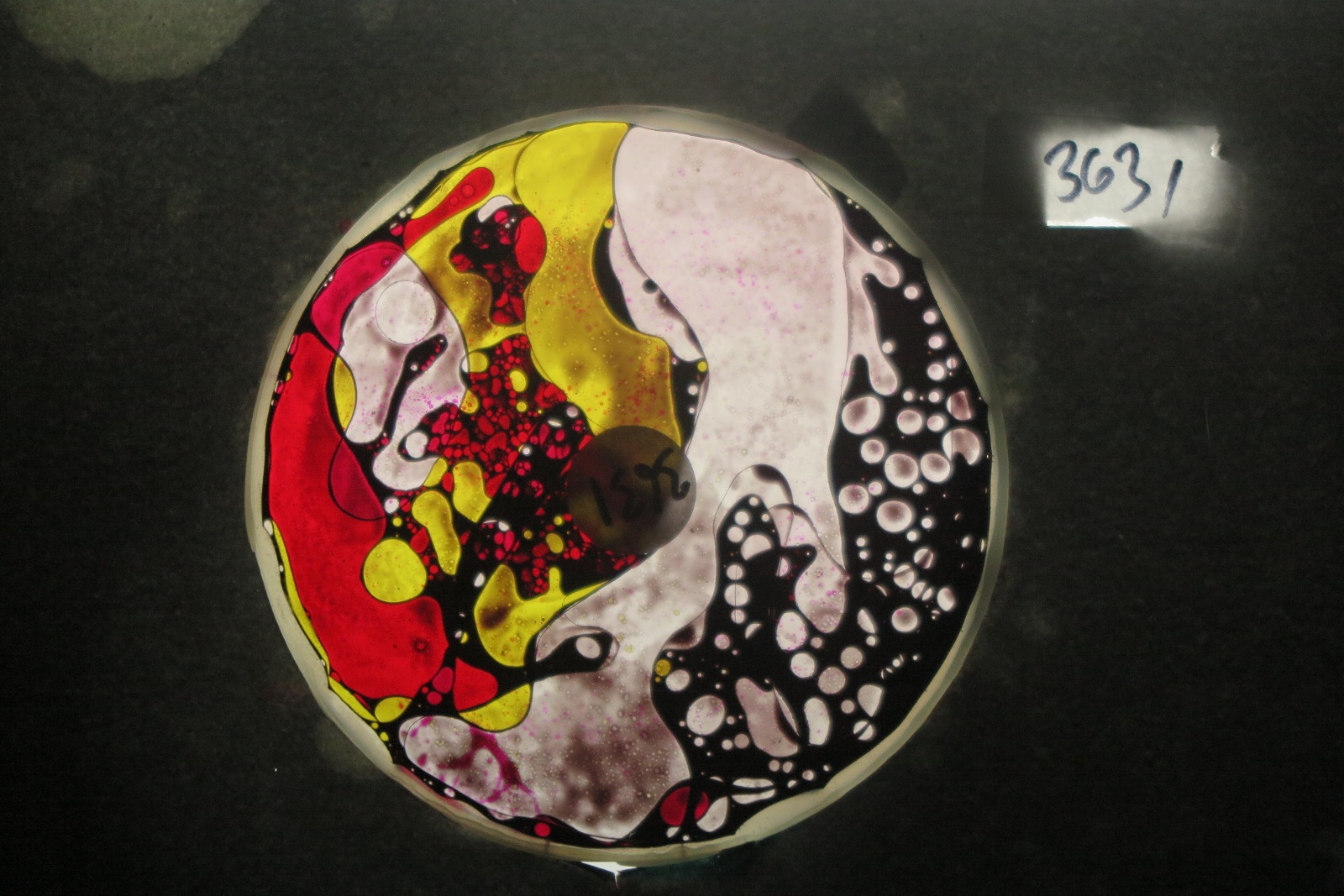 BV3631 bubble vision oil wheel